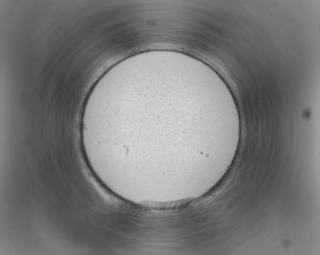 X0000116810898201001291559