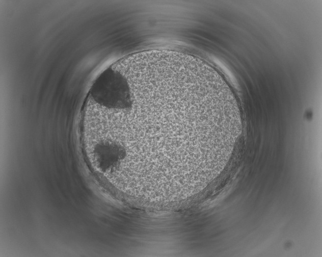 X0000116810899201001291559