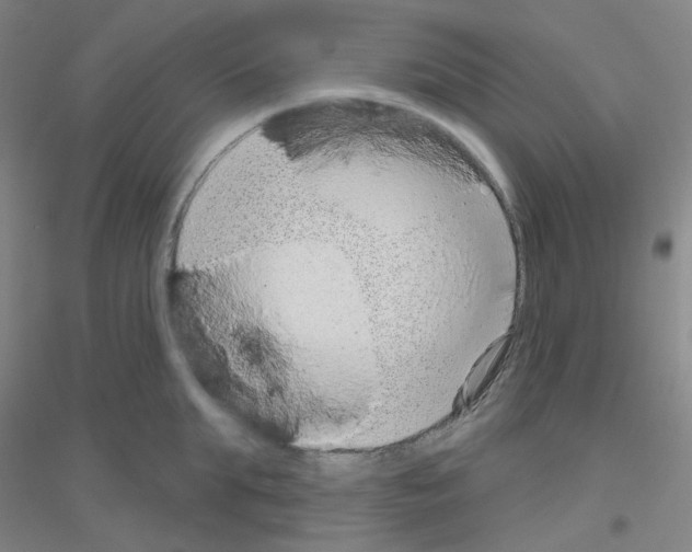 X0000116810903201001291559