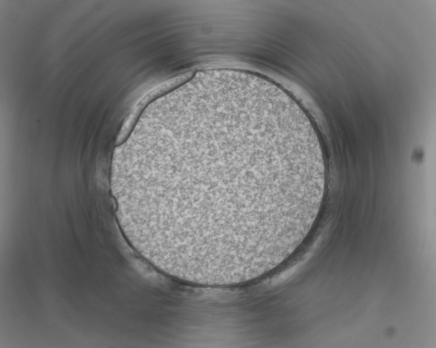 X0000116810905201001291559