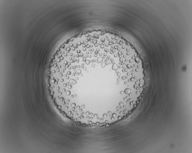 X0000116810906201001291558