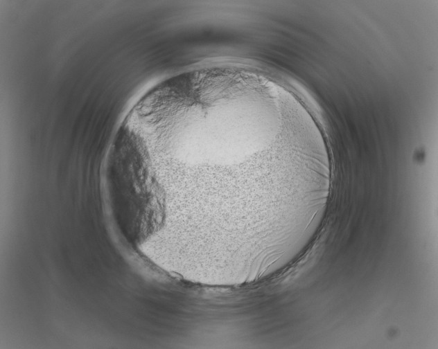 X0000116810907201001291558
