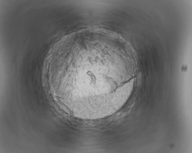 X0000116810913201001291558