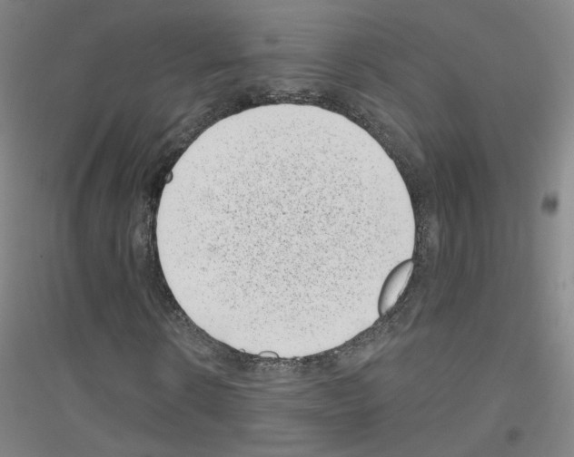 X0000116810914201001291558