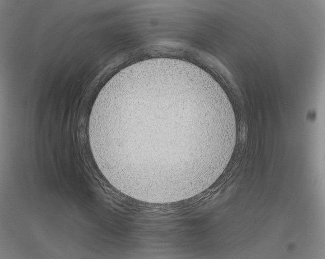 X0000116810915201001291558