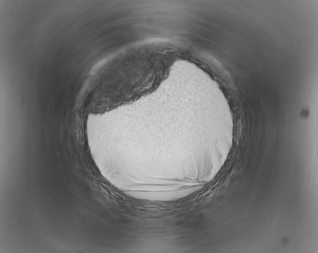 X0000116810917201001291558