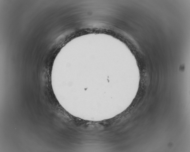 X0000116810918201001291558