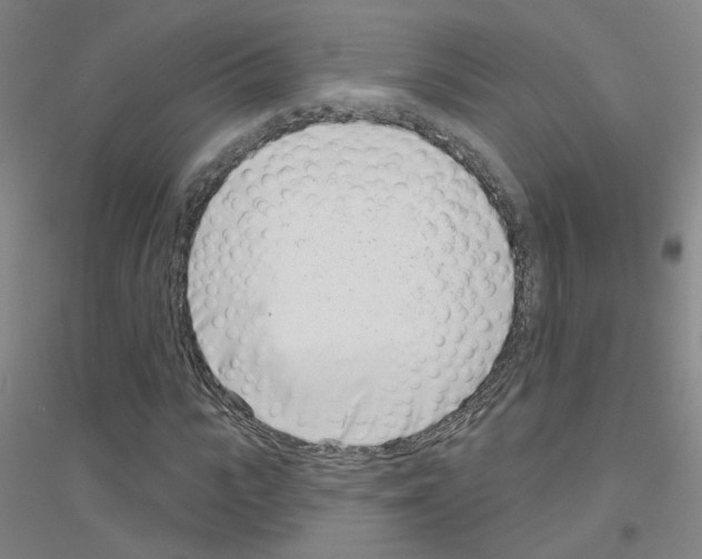 X0000116810919201001291558