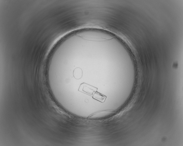 X0000116810926201001291558