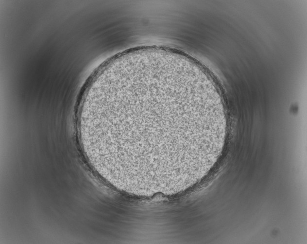 X0000116810927201001291558