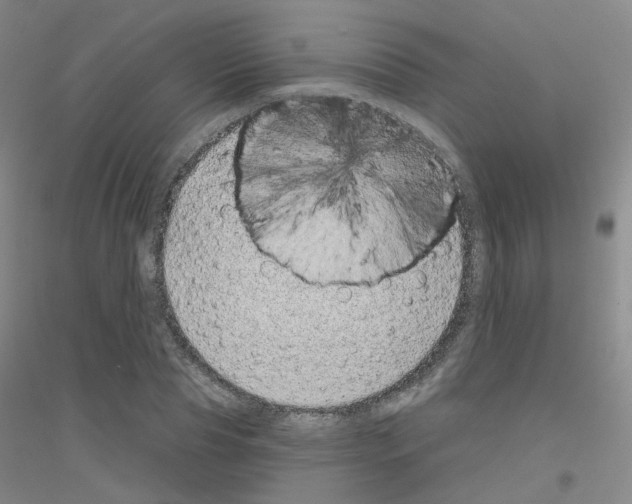 X0000116810929201001291558