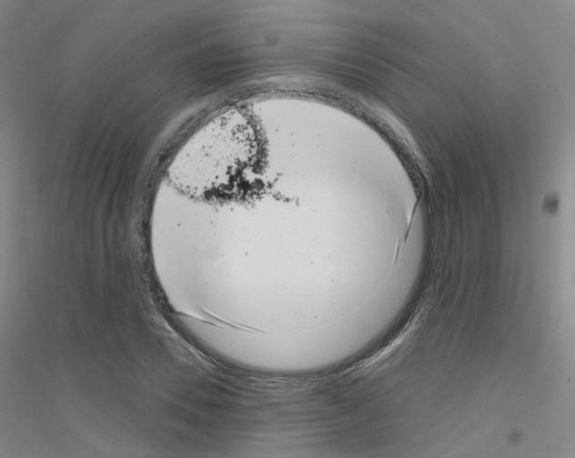 X0000116810930201001291558