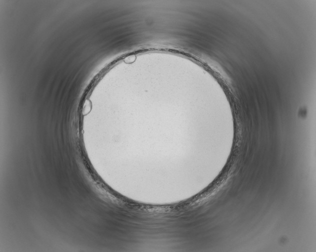 X0000116810934201001291558