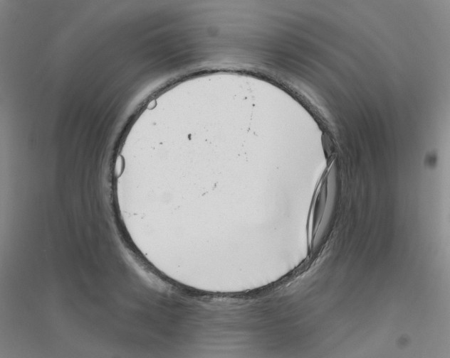 X0000116810942201001291558