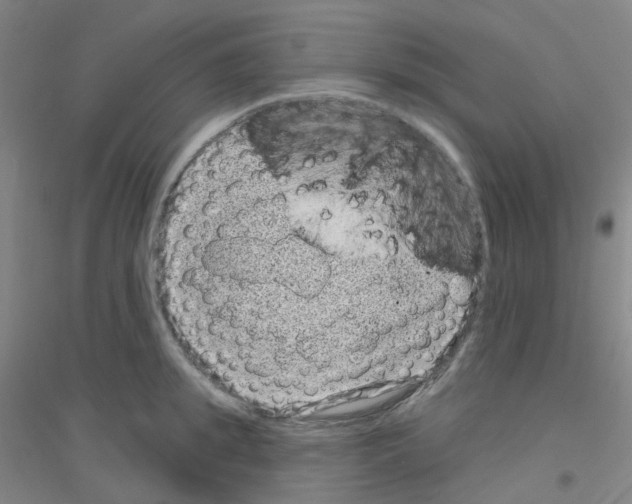 X0000116810949201001291558