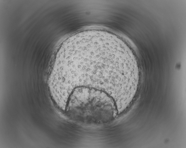 X0000116810953201001291558