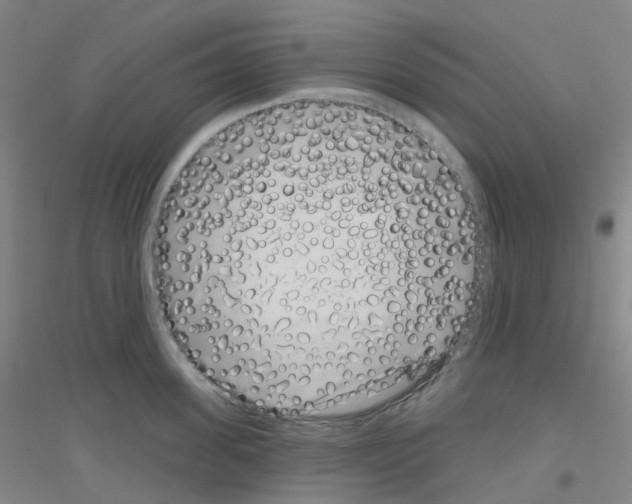 X0000116810955201001291558
