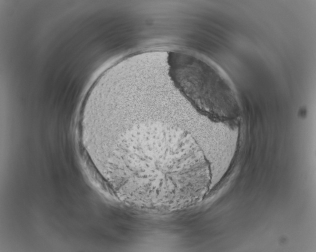 X0000116810957201001291558
