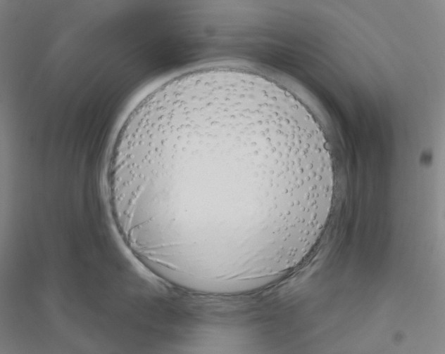 X0000116810959201001291558