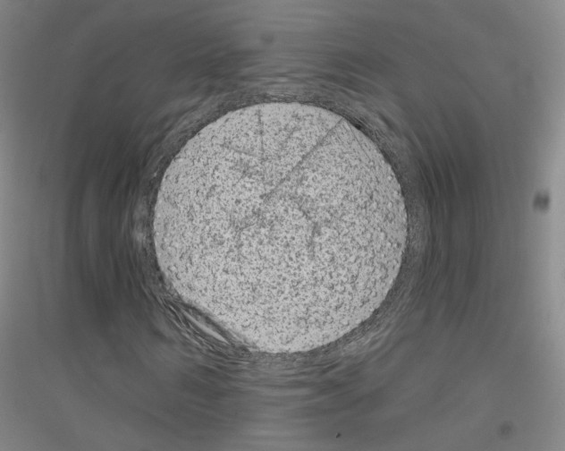 X0000116810962201001291558