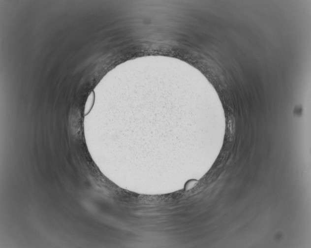 X0000116810963201001291558