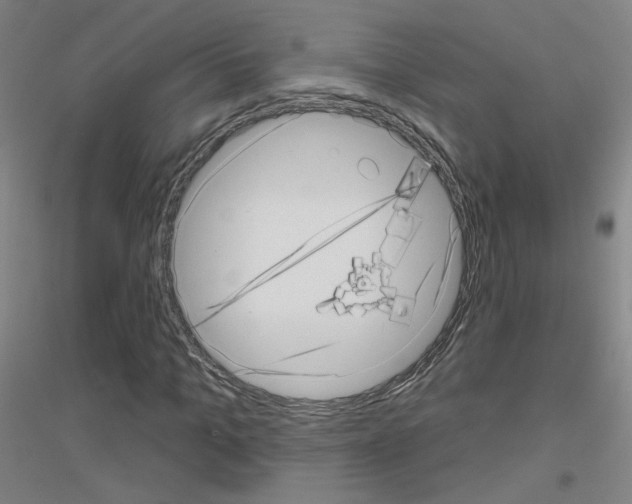 X0000116810965201001291558