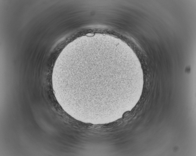 X0000116810967201001291558