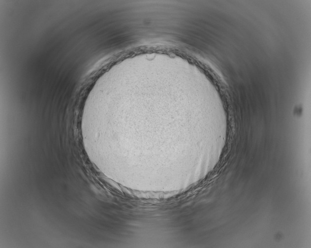 X0000116810968201001291558