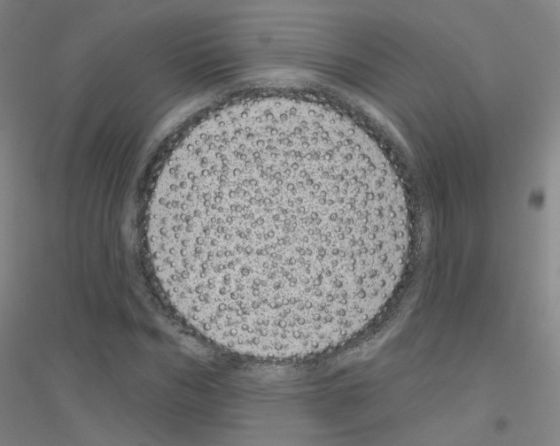 X0000116810970201001291558