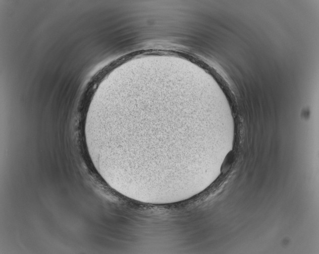 X0000116810971201001291558