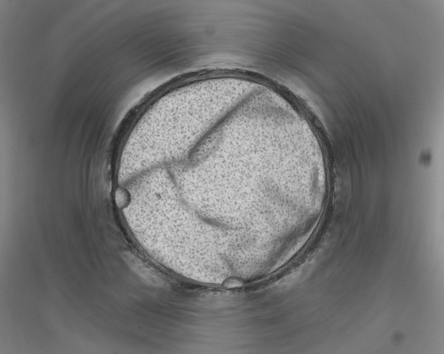 X0000116810973201001291558
