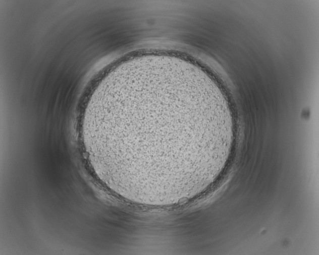 X0000116810974201001291558
