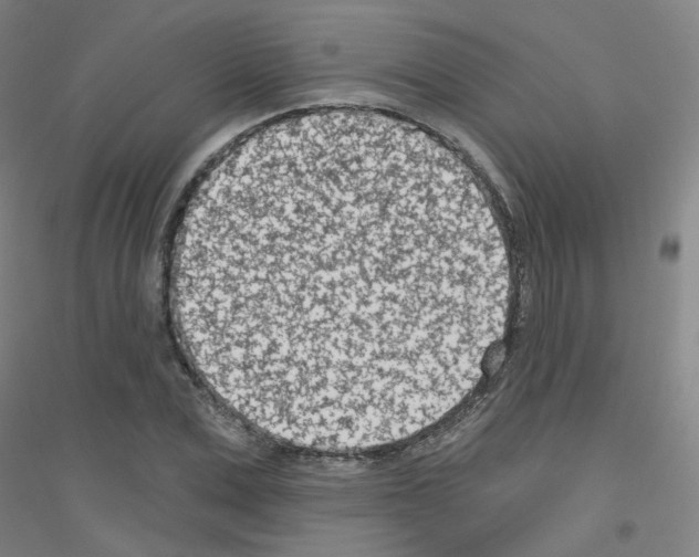 X0000116810975201001291558