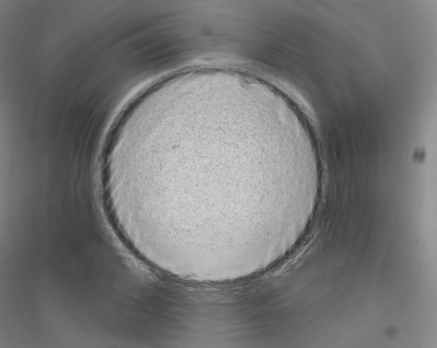 X0000116810976201001291558