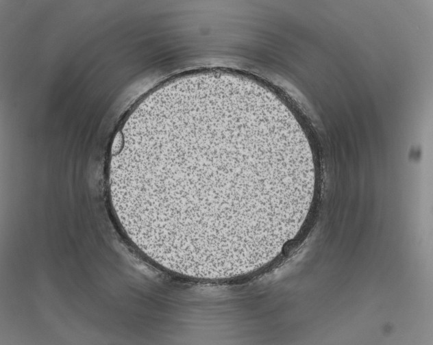 X0000116810977201001291558