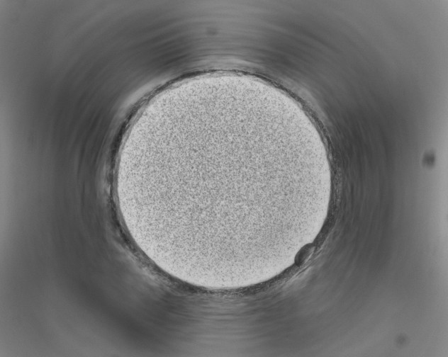 X0000116810979201001291558