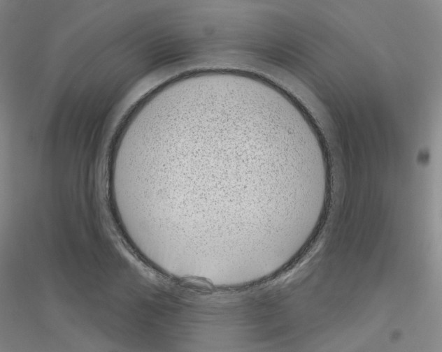 X0000116810982201001291557