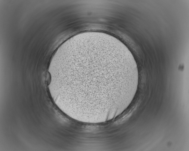 X0000116810985201001291557