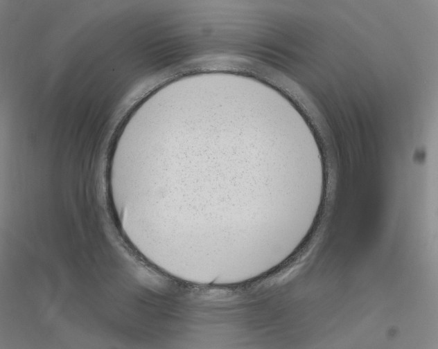 X0000116810986201001291557