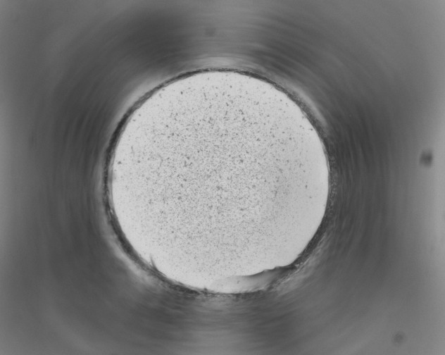 X0000116810991201001291557