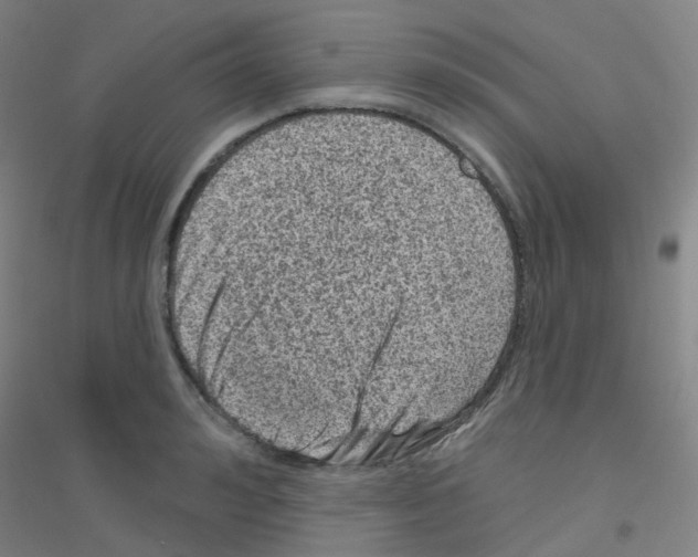 X0000116810992201001291557