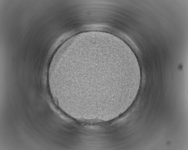 X0000116810994201001291557