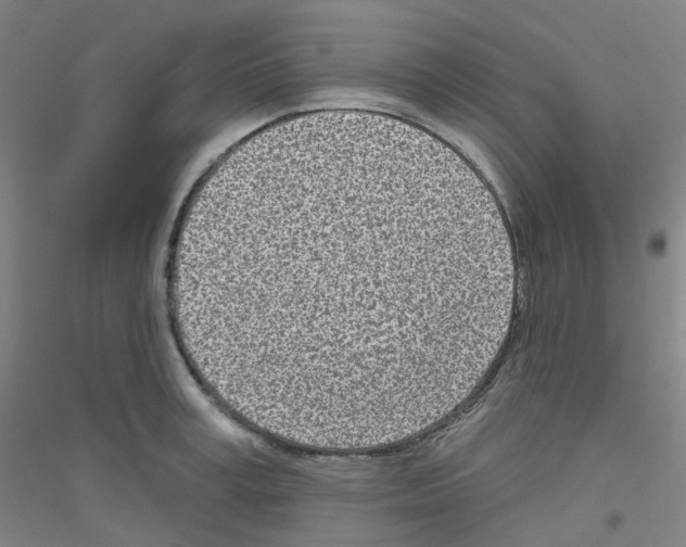 X0000116810995201001291557