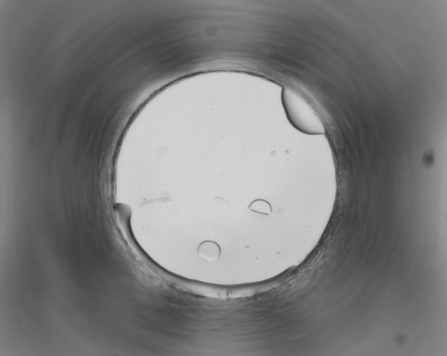 X0000116810996201001291557