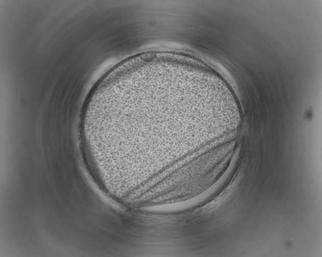 X0000116810997201001291557