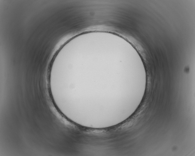 X0000116810998201001291557