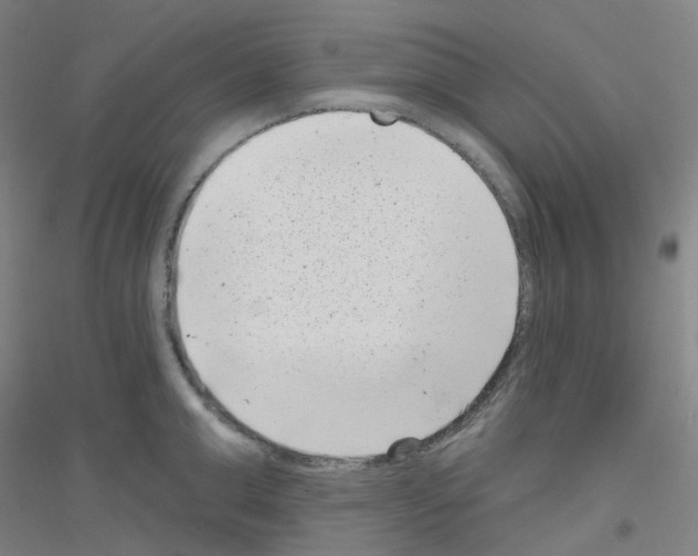 X0000116810999201001291557