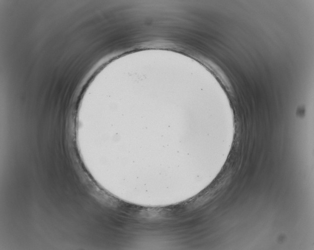 X0000116811000201001291557