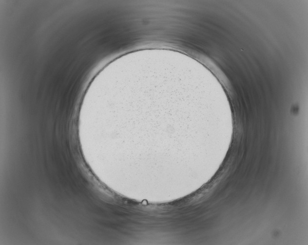 X0000116811004201001291557