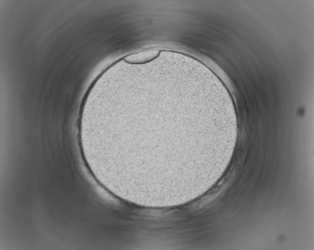 X0000116811005201001291557